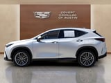2022 Lexus NX - Preview 2