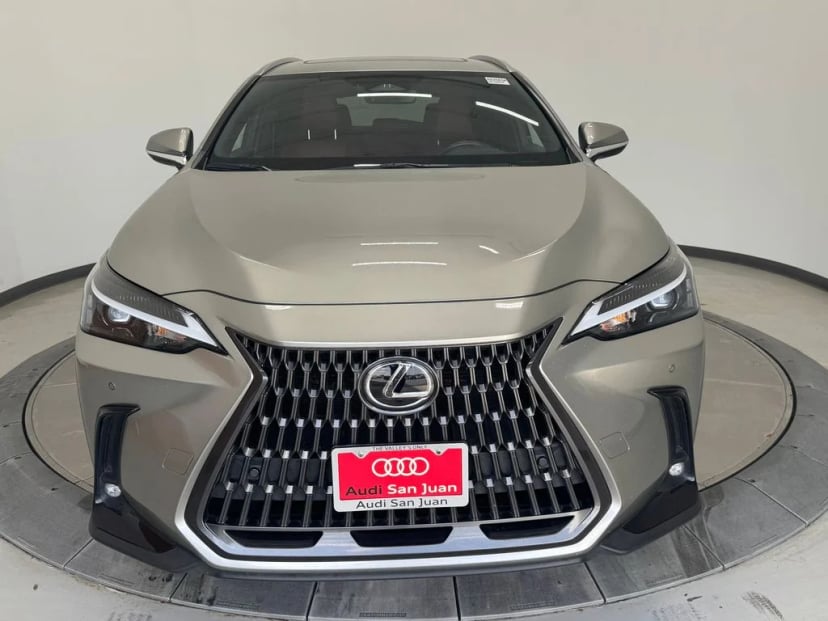 2025 Lexus NX - Image 2