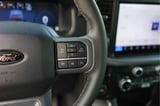 2025 Ford F-150 - Preview 15