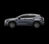 2026 Lexus NX - Preview 3