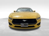 2024 Ford Mustang - Preview 2