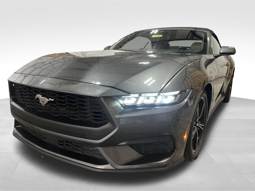 2024 Ford Mustang - Image 1