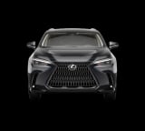 2026 Lexus NX - Preview 6
