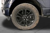 2026 Ford F-150 - Preview 9
