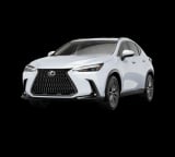 2026 Lexus NX - Preview 2