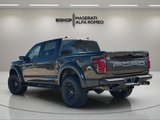 2025 Ford F-150 - Preview 3