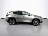 2026 Lexus NX - Preview 4