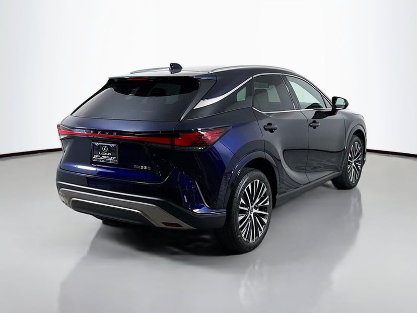 2025 Lexus RX - Image 2