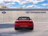 2026 Ford Mustang - Preview 5