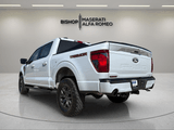 2025 Ford F-150 - Preview 4