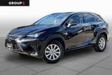 2020 Lexus NX - Preview 2