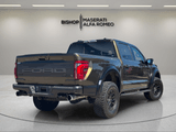 2025 Ford F-150 - Preview 4