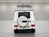2017 Mercedes-Benz G-Class - Preview 4