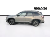 2026 Subaru Forester - Preview 4
