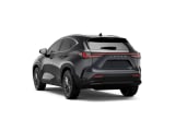 2026 Lexus NX - Preview 3
