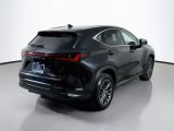 2025 Lexus NX - Preview 5