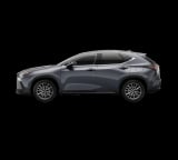2026 Lexus NX - Preview 3