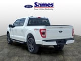 2023 Ford F-150 - Preview 5