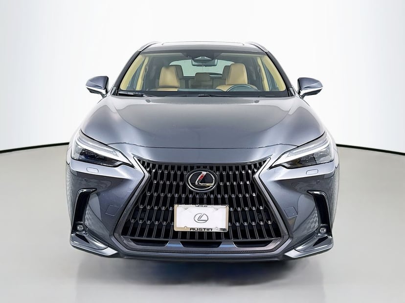 2024 Lexus NX - Image 1