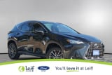2025 Lexus NX - Preview 2