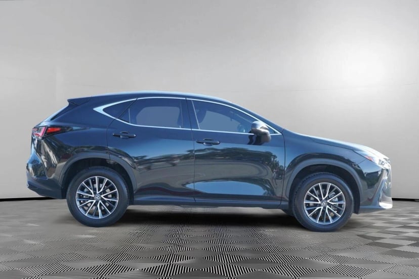 2025 Lexus NX - Image 1