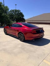 2019 Ford Mustang - Preview 4