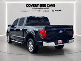 2025 Ford F-150 - Preview 9