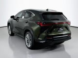 2026 Lexus NX - Preview 7