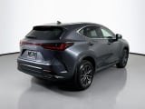 2024 Lexus NX - Preview 5