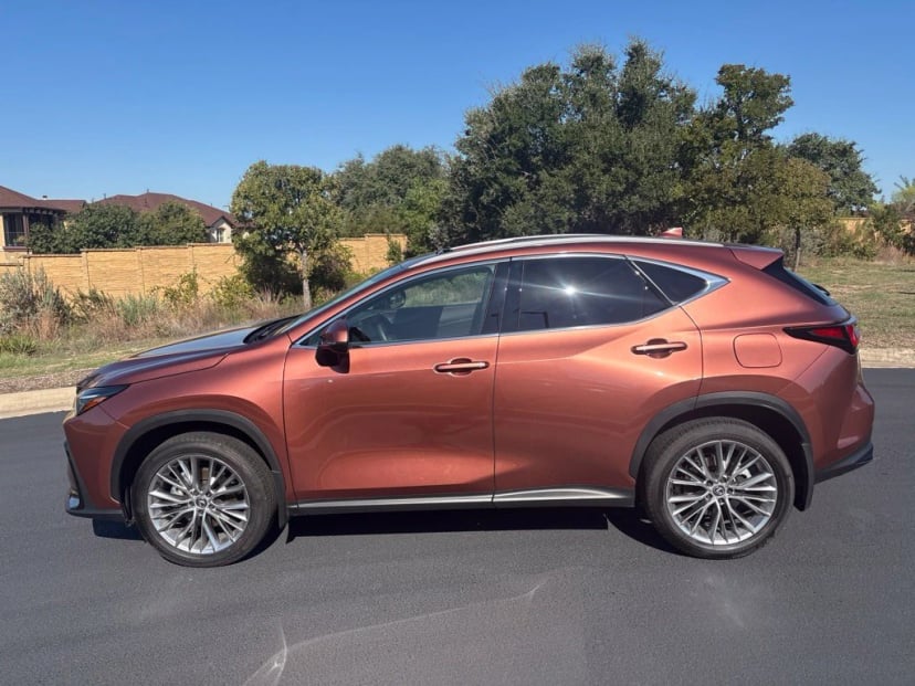 2025 Lexus NX - Image 1