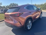 2025 Lexus NX - Preview 5