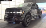 2025 Ford F-150 - Preview 2