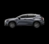 2026 Lexus NX - Preview 3