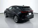 2026 Lexus NX - Preview 7