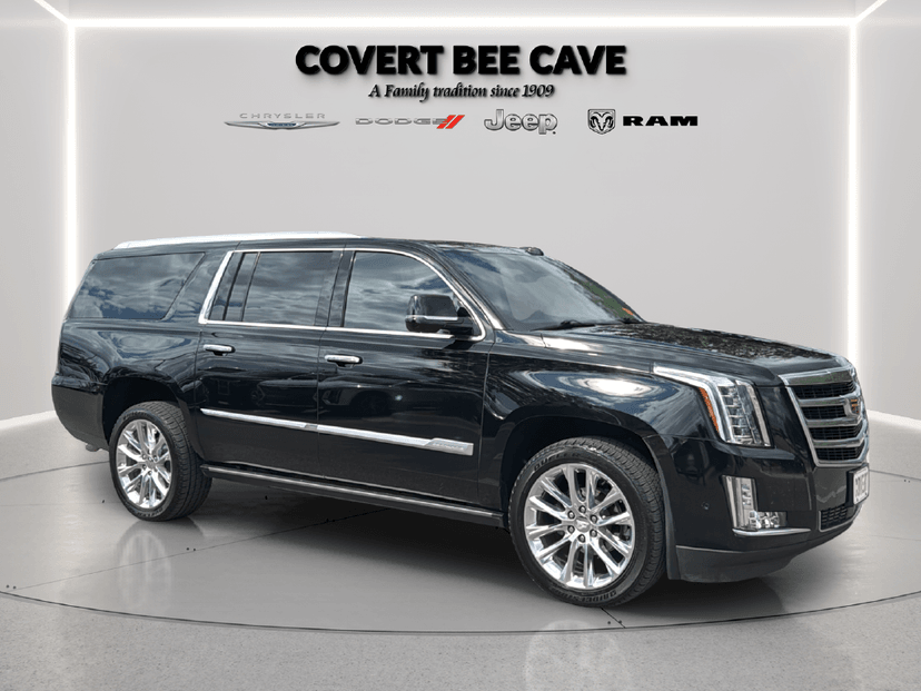 2020 Cadillac Escalade ESV - Image 1
