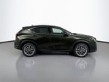 2026 Lexus NX - Preview 4