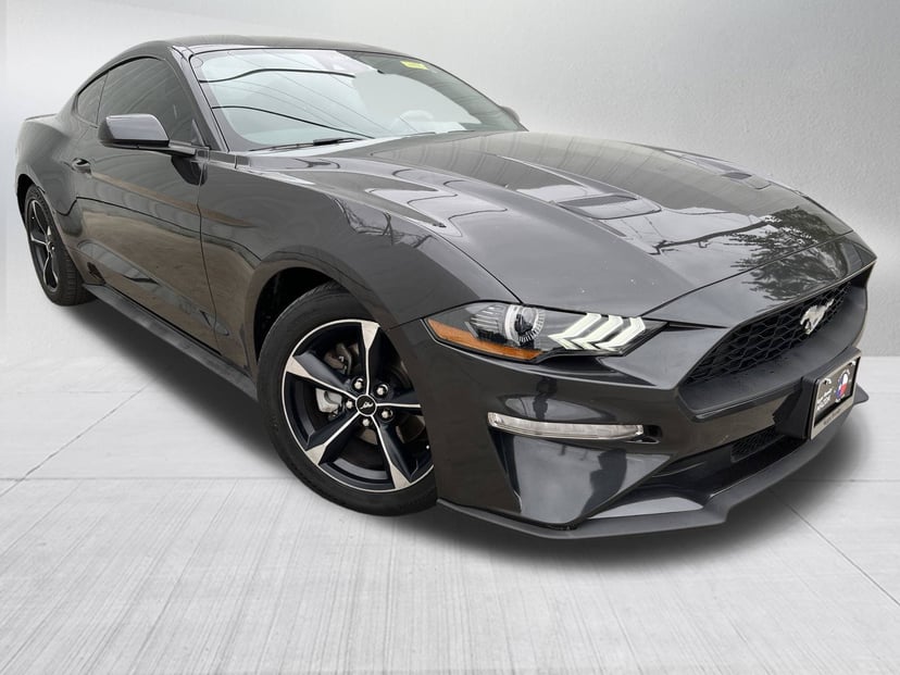 2022 Ford Mustang - Image 1