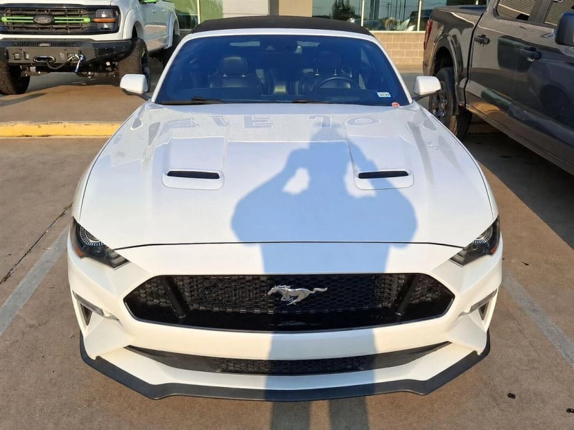 2019 Ford Mustang - Image 3