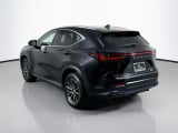 2025 Lexus NX - Preview 7