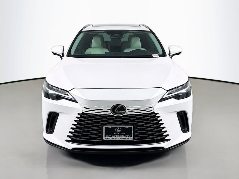 2025 Lexus RX - Image 3
