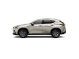 2026 Lexus NX - Preview 2