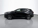 2025 Lexus NX - Preview 8
