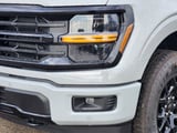 2026 Ford F-150 - Preview 5