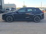 2020 Lexus UX - Preview 10