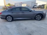 2020 Honda Accord - Preview 3