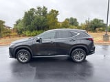 2024 Lexus NX - Preview 2