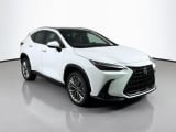 2026 Lexus NX - Preview 3