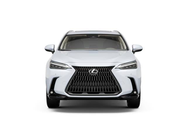 2026 Lexus NX - Image 1