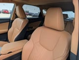 2024 Lexus NX - Preview 10