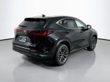 2026 Lexus NX - Preview 5